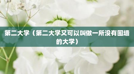 第二大学（第二大学又可以叫做一所没有围墙的大学）