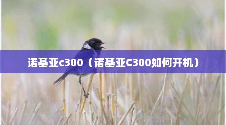诺基亚c300（诺基亚C300如何开机）