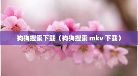 狗狗搜索下载（狗狗搜索 mkv 下载）