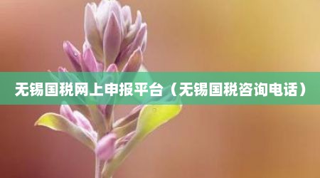 无锡国税网上申报平台（无锡国税咨询电话）