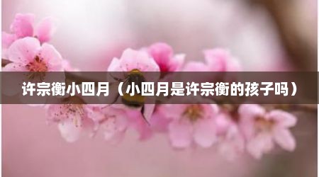 许宗衡小四月（小四月是许宗衡的孩子吗）