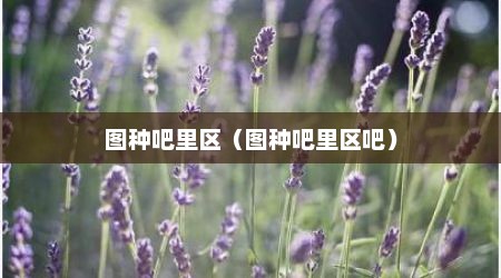 图种吧里区（图种吧里区吧）