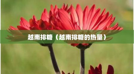 越南排糖（越南排糖的热量）
