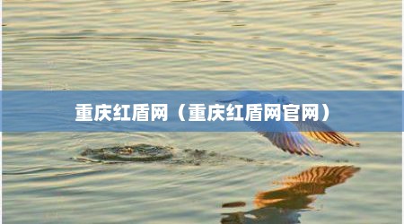 重庆红盾网（重庆红盾网官网）