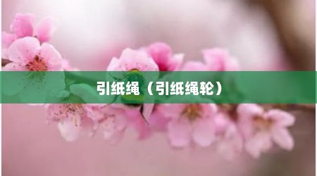引纸绳（引纸绳轮）
