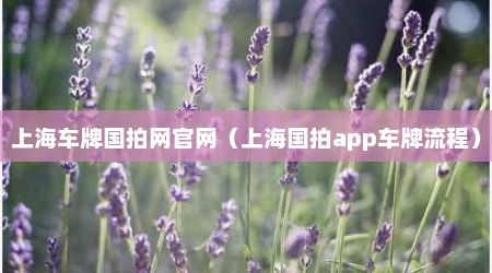 上海车牌国拍网官网（上海国拍app车牌流程）