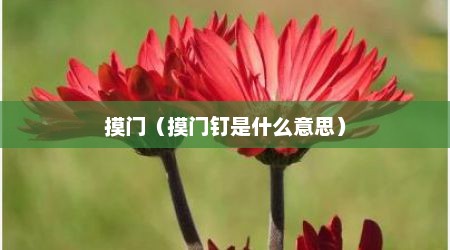 摸门（摸门钉是什么意思）