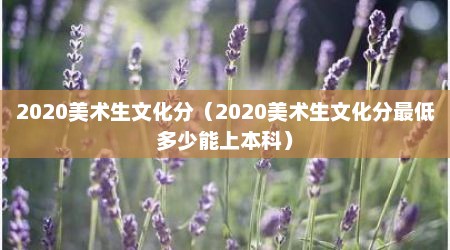 2020美术生文化分（2020美术生文化分最低多少能上本科）