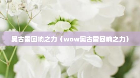奥古雷回响之力（wow奥古雷回响之力）