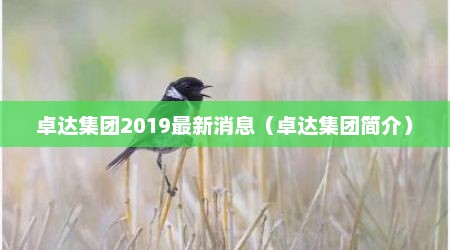 卓达集团2019最新消息（卓达集团简介）