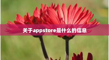 关于appstore是什么的信息