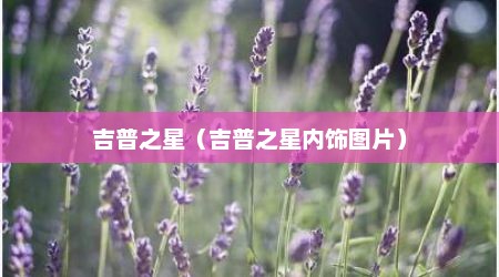 吉普之星（吉普之星内饰图片）