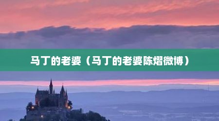 马丁的老婆（马丁的老婆陈熠微博）