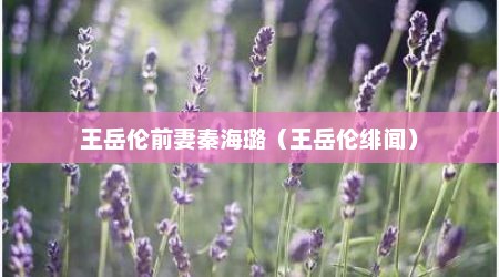 王岳伦前妻秦海璐（王岳伦绯闻）