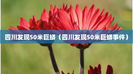 四川发现50米巨蟒（四川发现50米巨蟒事件）