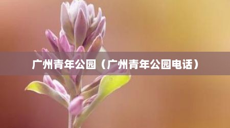 广州青年公园（广州青年公园电话）