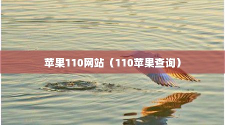 苹果110网站（110苹果查询）