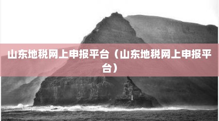 山东地税网上申报平台（山东地税网上申报平台）