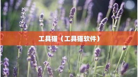 工具猫（工具猫软件）