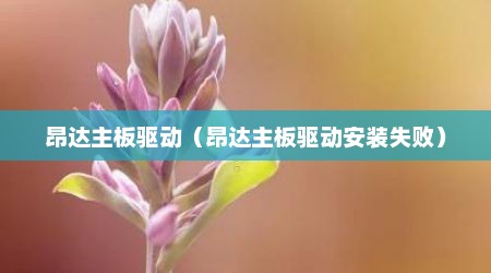 昂达主板驱动（昂达主板驱动安装失败）