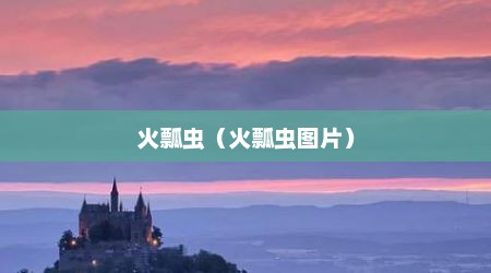 火瓢虫（火瓢虫图片）