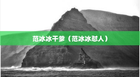 范冰冰干爹（范冰冰怼人）