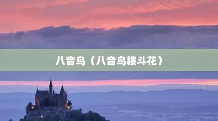 八音鸟（八音鸟耧斗花）