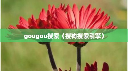 gougou搜索（搜狗搜索引擎）
