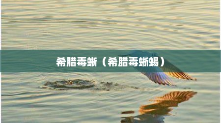 希腊毒蜥（希腊毒蜥蜴）