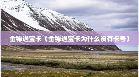 金穗通宝卡（金穗通宝卡为什么没有卡号）
