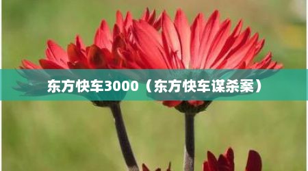 东方快车3000（东方快车谋杀案）