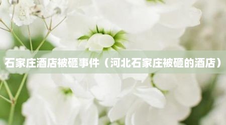 石家庄酒店被砸事件（河北石家庄被砸的酒店）