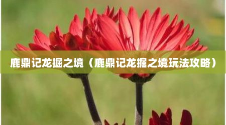 鹿鼎记龙掘之境（鹿鼎记龙掘之境玩法攻略）