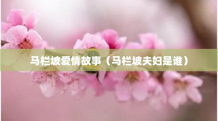 马栏坡爱情故事（马栏坡夫妇是谁）