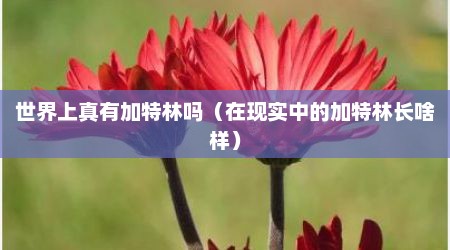 世界上真有加特林吗（在现实中的加特林长啥样）