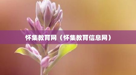 怀集教育网（怀集教育信息网）