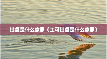 批复是什么意思（工可批复是什么意思）