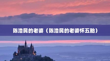 陈浩民的老婆（陈浩民的老婆怀五胎）