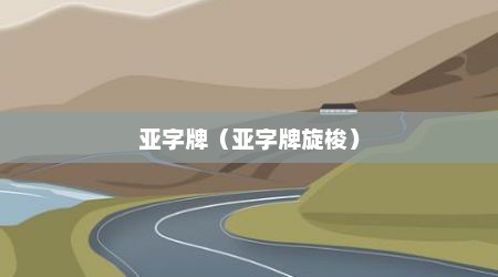 亚字牌（亚字牌旋梭）