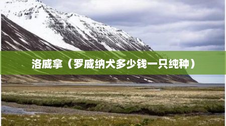 洛威拿（罗威纳犬多少钱一只纯种）