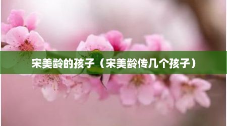 宋美龄的孩子（宋美龄传几个孩子）
