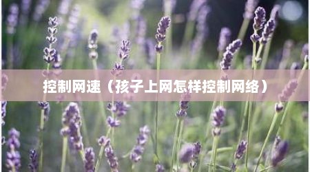 控制网速（孩子上网怎样控制网络）