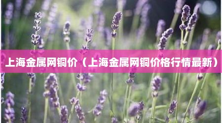 上海金属网铜价（上海金属网铜价格行情最新）