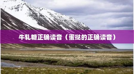 牛轧糖正确读音（蛋挞的正确读音）