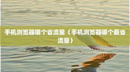 手机浏览器哪个省流量（手机浏览器哪个最省流量）