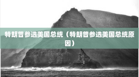 特朗普参选美国总统（特朗普参选美国总统原因）