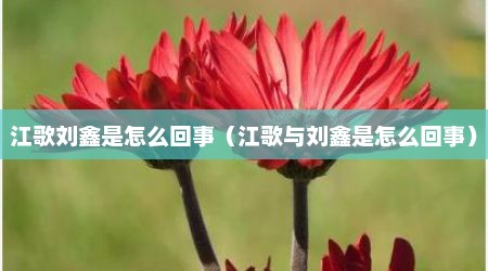 江歌刘鑫是怎么回事（江歌与刘鑫是怎么回事）