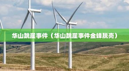 华山跳崖事件（华山跳崖事件金蝉脱壳）
