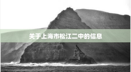 关于上海市松江二中的信息