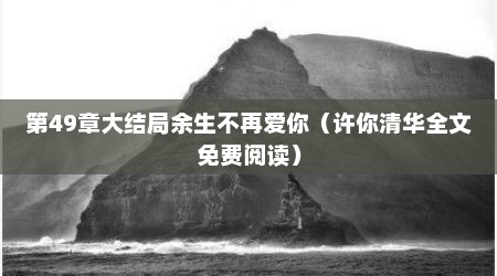 第49章大结局余生不再爱你（许你清华全文免费阅读）